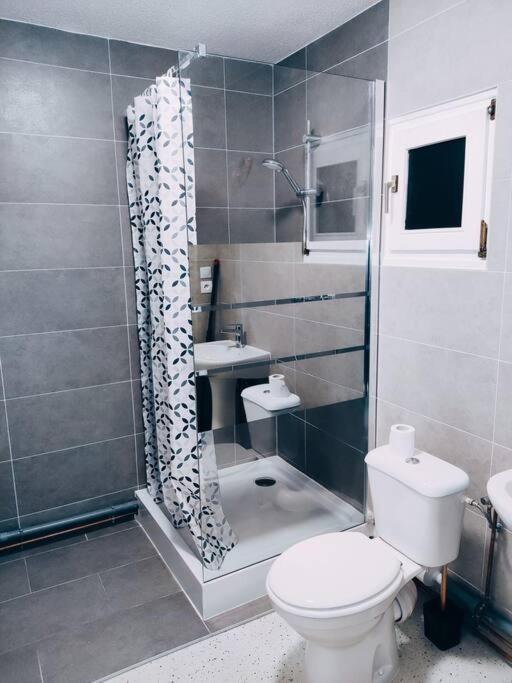 Magnifique Appartement T3 50 M2 أوبيرني المظهر الخارجي الصورة