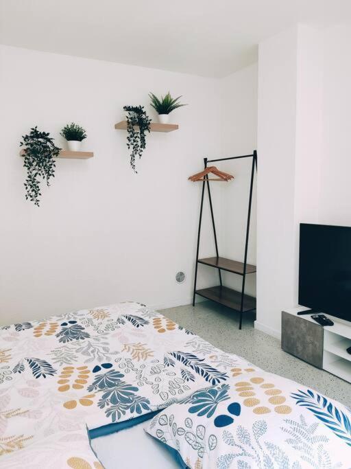Magnifique Appartement T3 50 M2 أوبيرني المظهر الخارجي الصورة